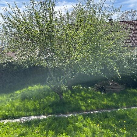 Bungalow In Ruhiger Siedlung Mit Stellplatz Λάντσχουτ Εξωτερικό φωτογραφία